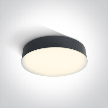 Plafon The LED Plafo Range 67390/AN/W ONE LIGHT